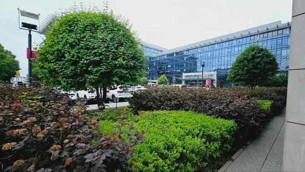 приміщення під тренажерний зал